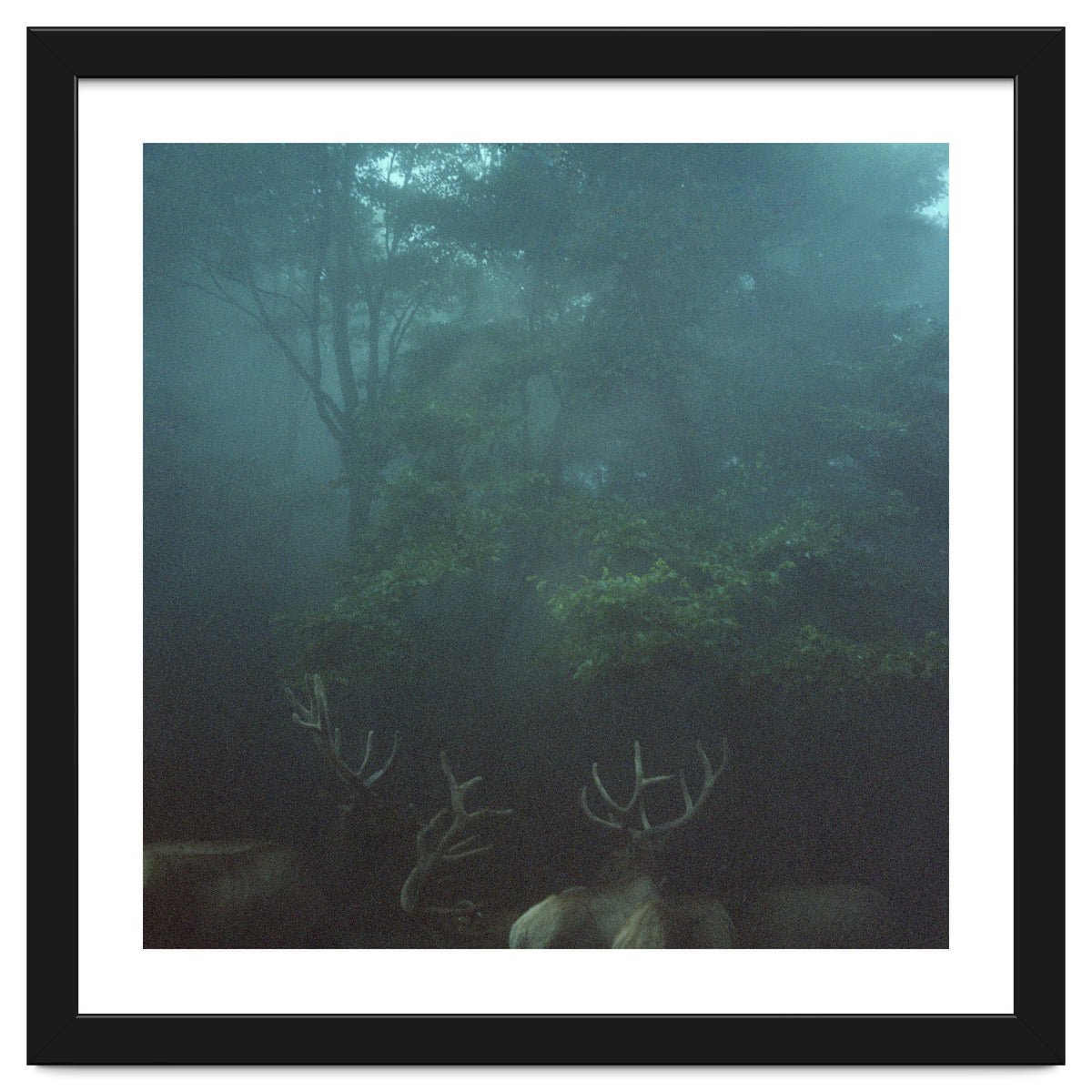 Silence of breath - 12