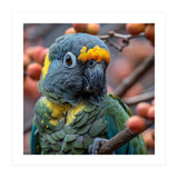 Yellow Headed Amazon Parrot Close Up Portrait (Print Only) thumbnail