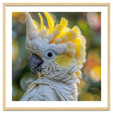 Yellow Crested Cockatoo Bird Close Up Portrait thumbnail