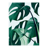 Monstera Tropical Photography Digital Art, Minimal Nature Jungle Botanical Leaves (Print Only) thumbnail