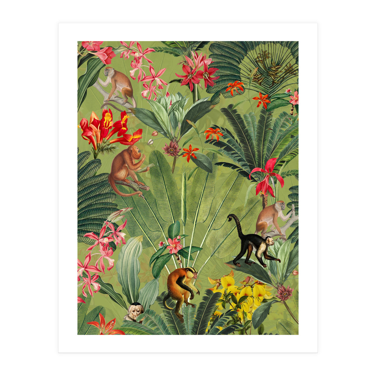 Monkeys In Tropical Jungle Paradise (Print Only)