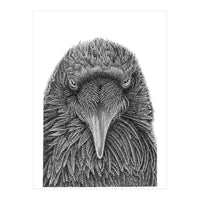 Muninn (Print Only)