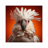 Close Up Portrait Of A White Cockatoo Parrot (Print Only) thumbnail