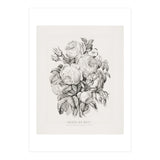 Currier & Ives – Rose of May (1870) (Print Only) thumbnail