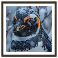 Penguin In Snow Falling Close Up Portrait
