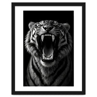 Roaring Tiger portrait