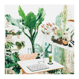 Junglow, Urban Jungle Botanical Home decor, Tropical Plants Interior Design Plant Lady Painting (Print Only) thumbnail