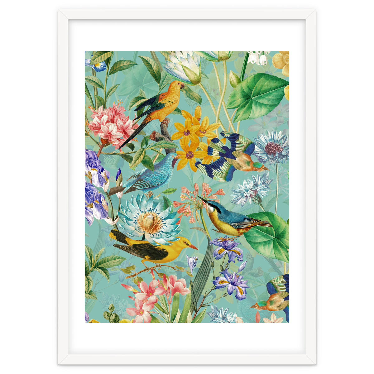 Birds In Tropical Jungle