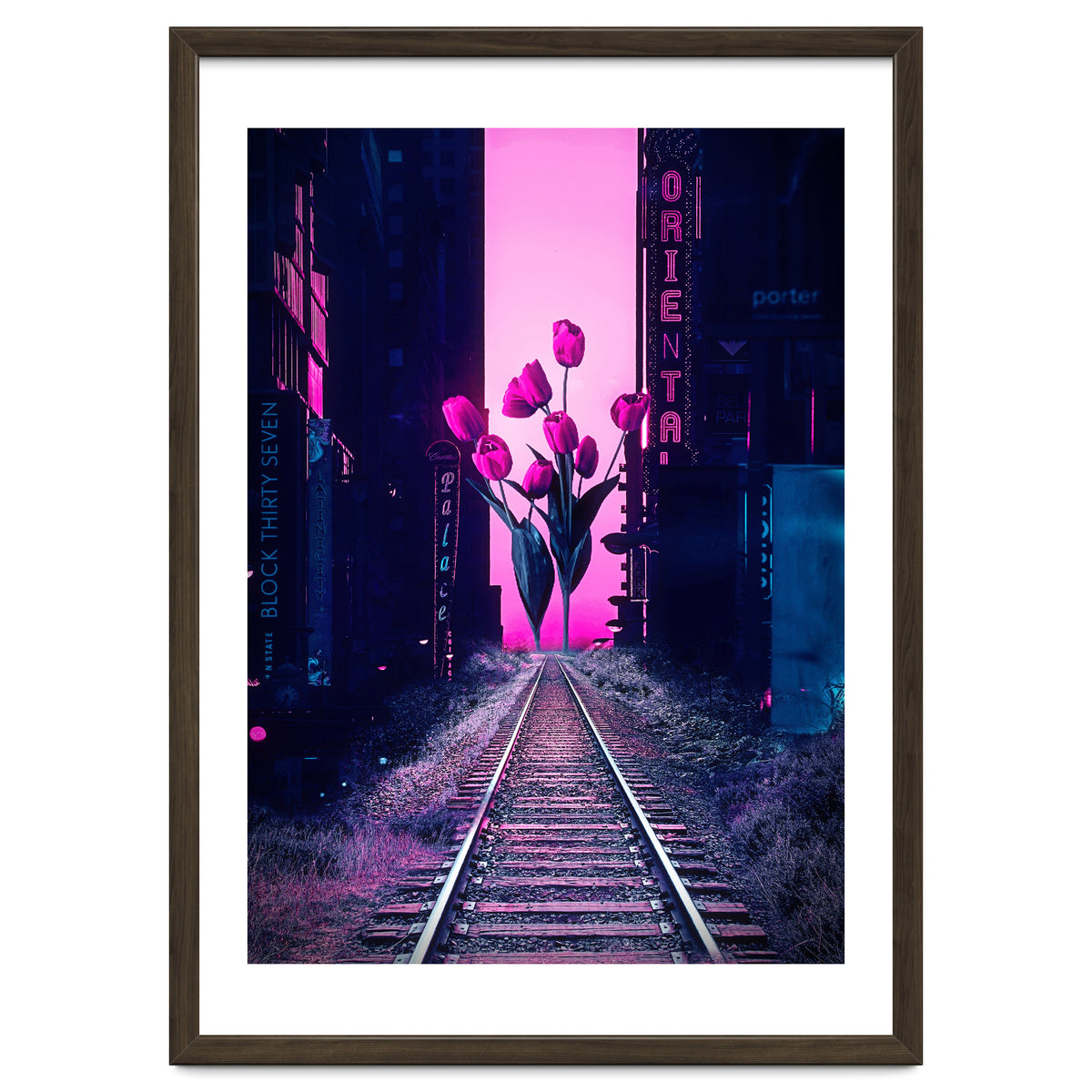 red tulips in the middle of the city