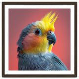 Cockatiel Parrot Head Close Up Portrait thumbnail