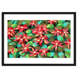 Red flowers thumbnail