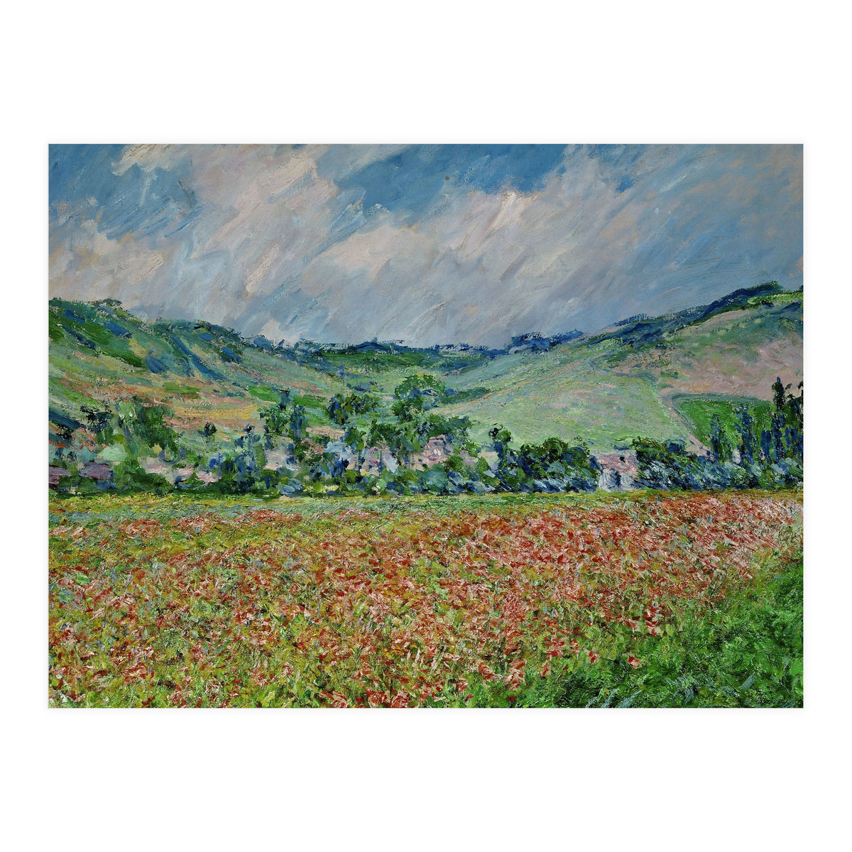 A field of poppies. Canvas. (Print Only)