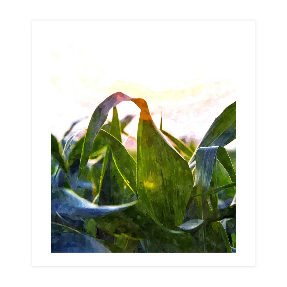 Hope With Abstraction (Print Only)