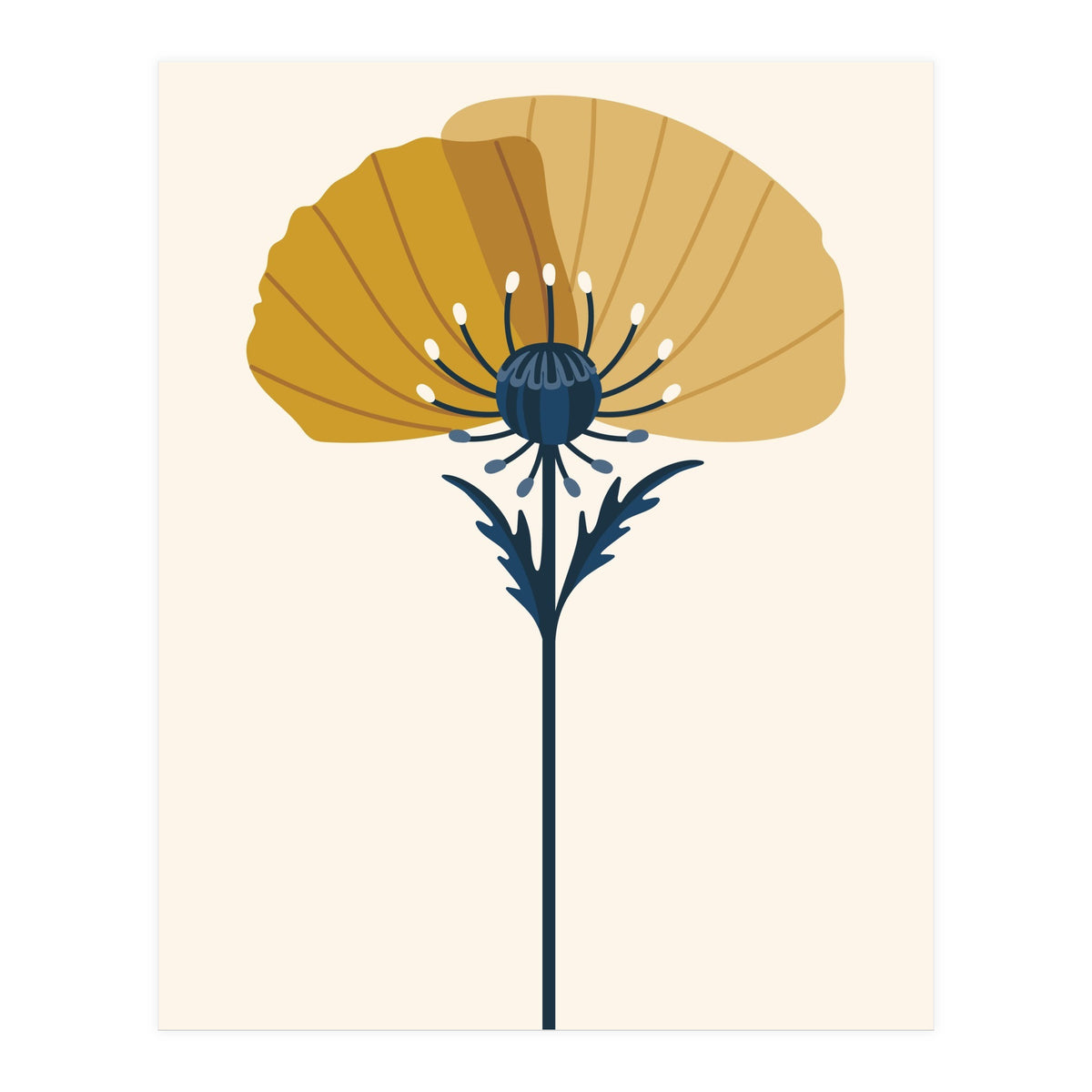 Ochre Half Poppy (Print Only)