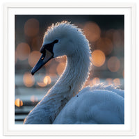 Close-up Shot of a Swan with Water Droplets