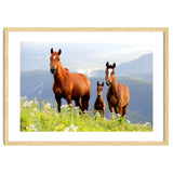 Three Horses thumbnail