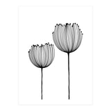 Two wildflowers (Print Only) thumbnail