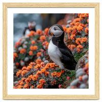 Atlantic Puffin Bird Perched On Orange Flowers