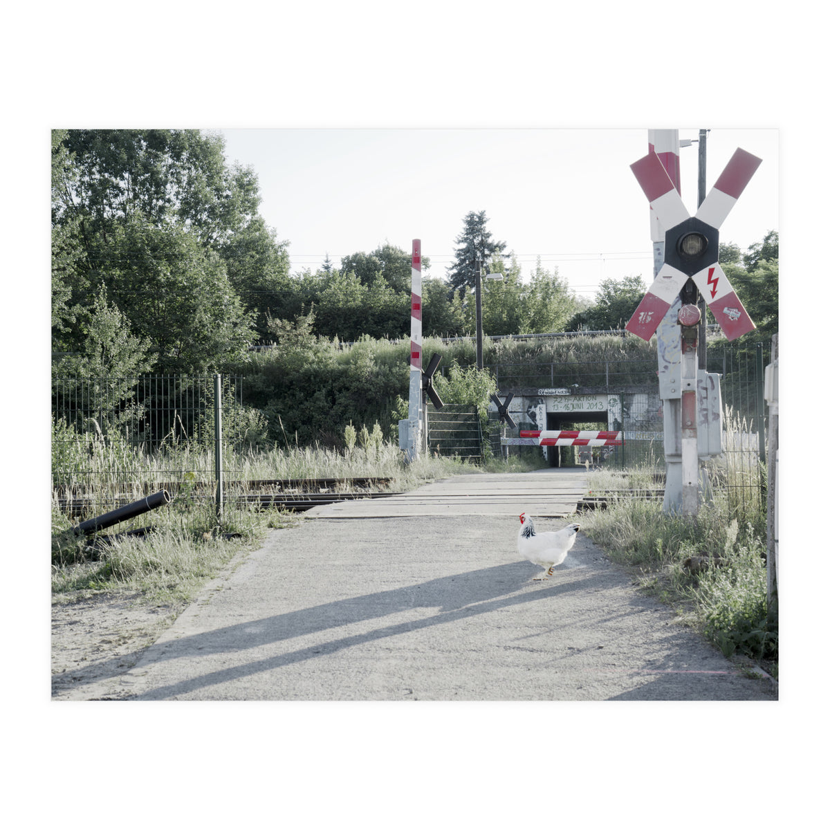 A chicken crossing a railroad (Print Only)