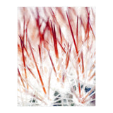 Delicate Florals (Print Only) thumbnail