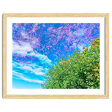 Changing Seasons thumbnail