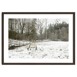 White horse in the snow field thumbnail