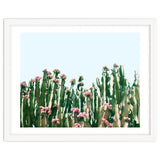 Blush Cactus #society6 #decor #buyart thumbnail