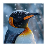 King Penguin Close Up In Snowy Environment (Print Only) thumbnail