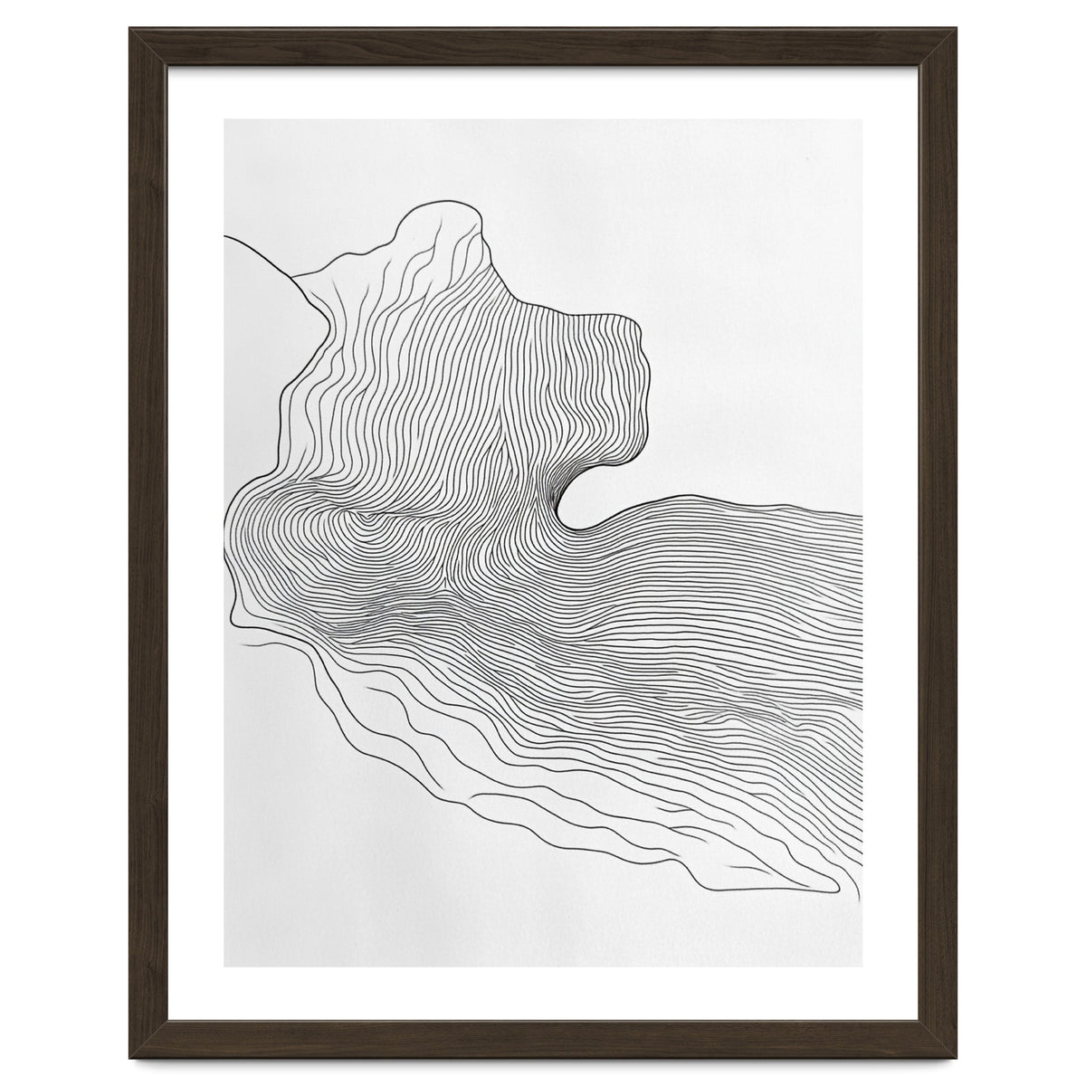 Abstract Black And White Organic Flowing Lines Pattern