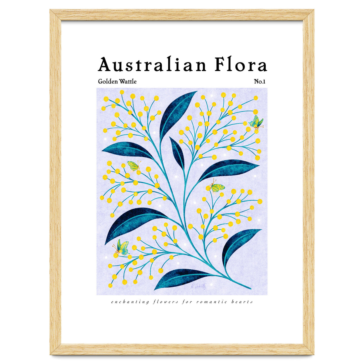 Australian Flora: Golden Wattle