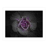 Backyard Flowers No 108 Color Version (Print Only) thumbnail