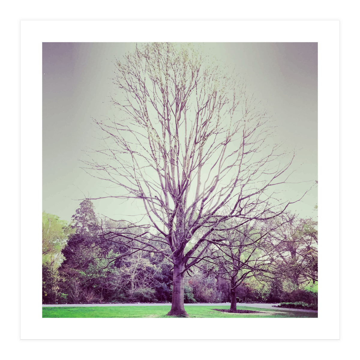 Tree Of Dreams (Print Only)