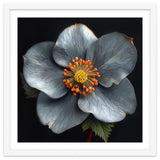 Hellebore | Silver Magic thumbnail