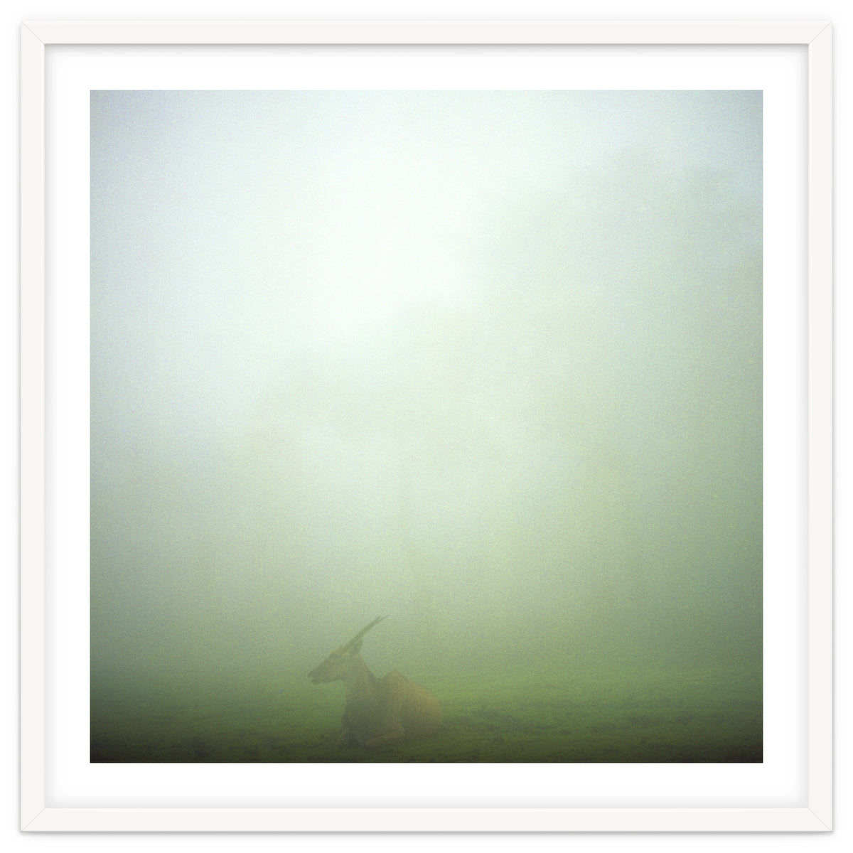 Silence of breath - 06