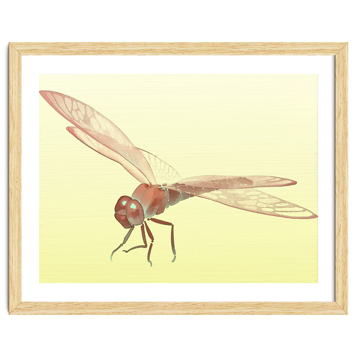 Wings of Transformation