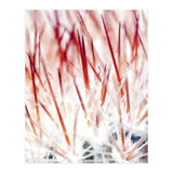 Delicate Florals (Print Only) thumbnail