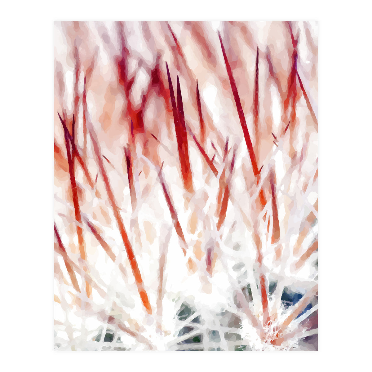 Delicate Florals (Print Only)