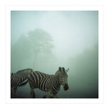 Silence of breath - 16 (Print Only) thumbnail