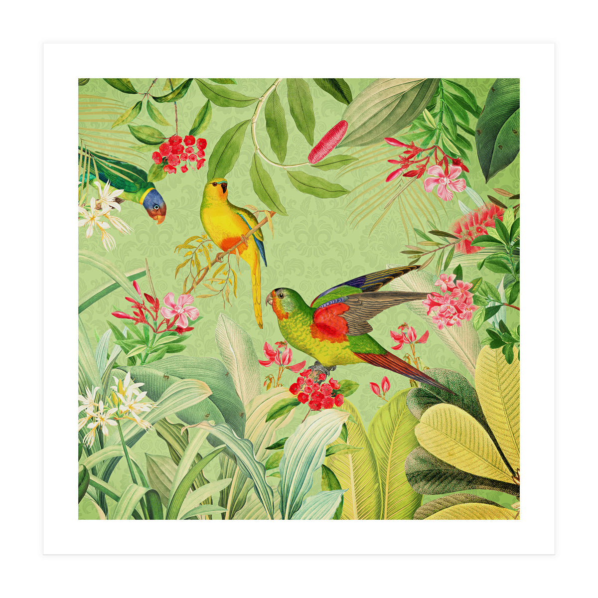 Summer Day Vintage Tropical Jungle (Print Only)
