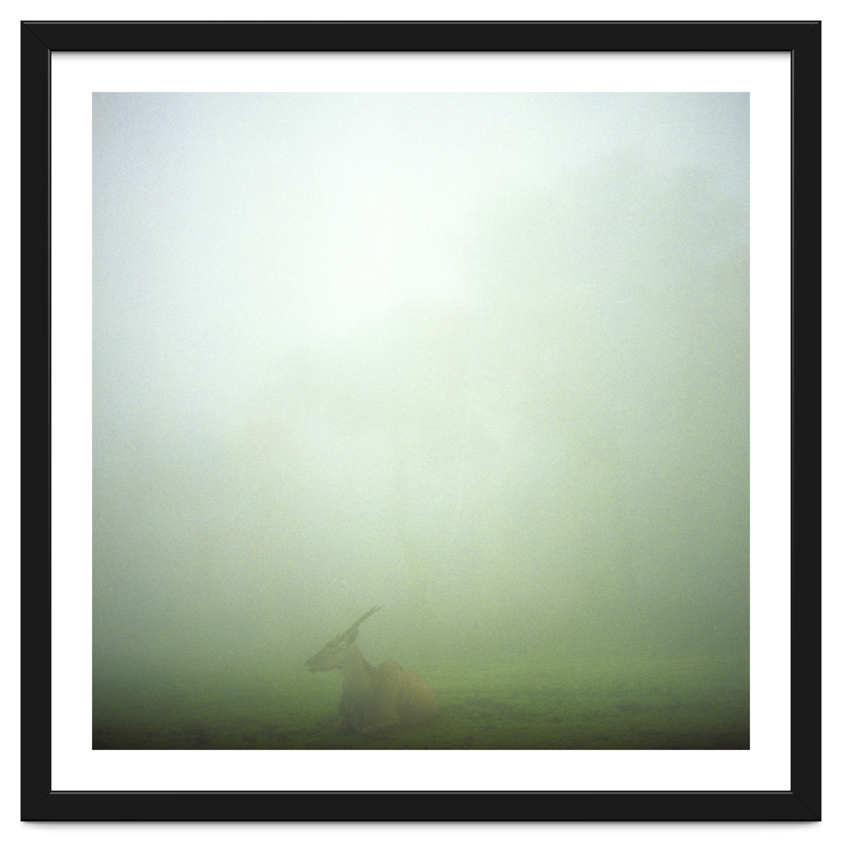 Silence of breath - 06