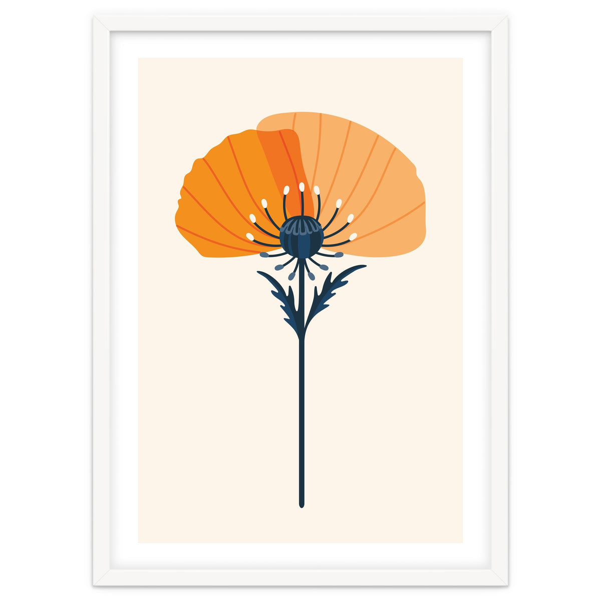 Orange Half Poppy