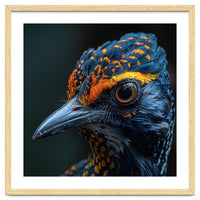 Close Up Of A Colorful Bird Head And Eye