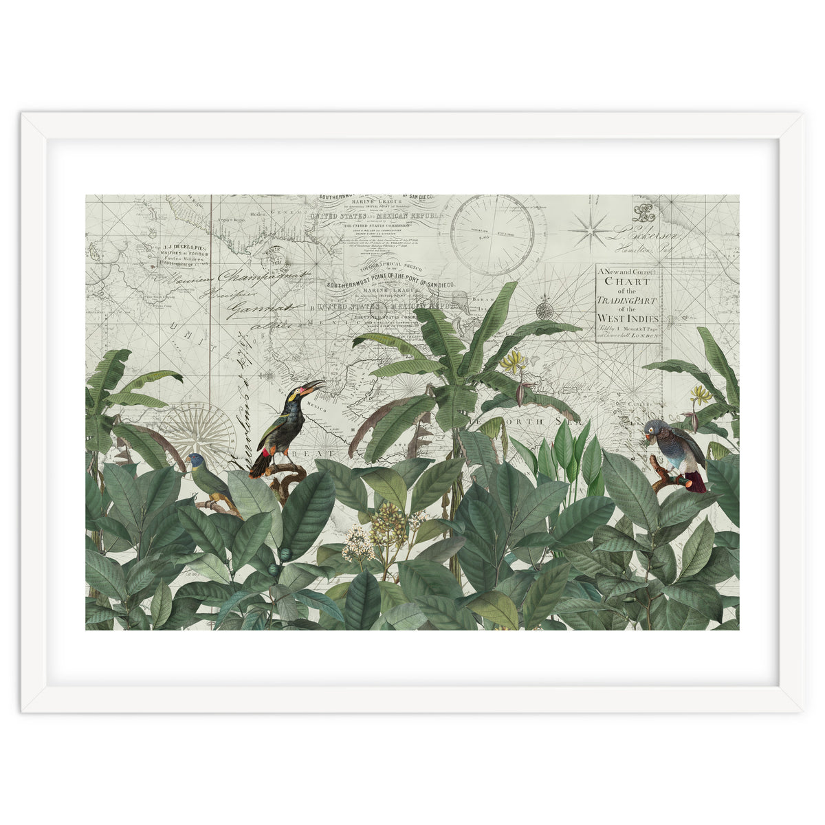 Explore The New World