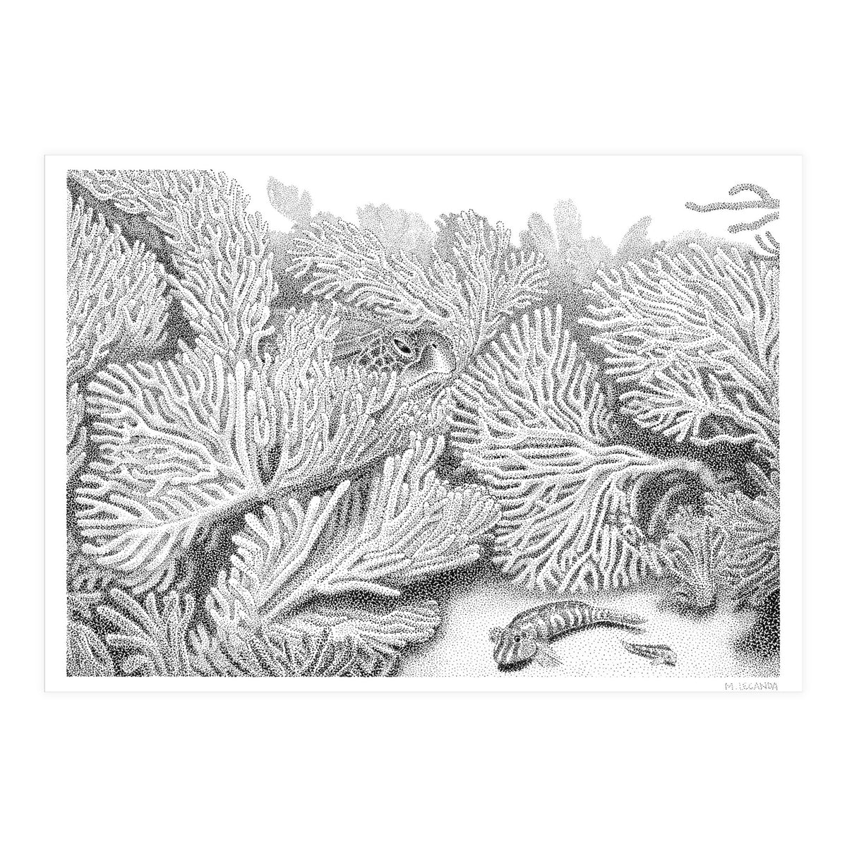 Hidden in plain sight (Print Only)