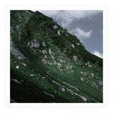SKIN OF NATURE - WILD CLIFF (Print Only) thumbnail