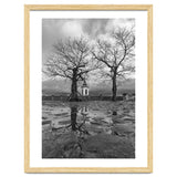 Churches and trees thumbnail