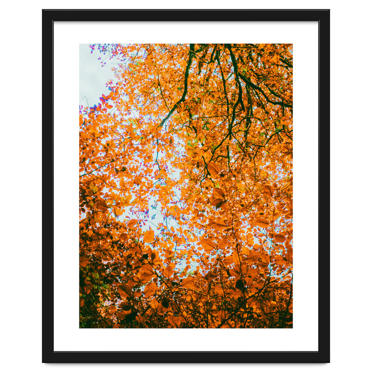 Autumn Leaves