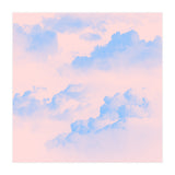 Pink Sky (Print Only) thumbnail