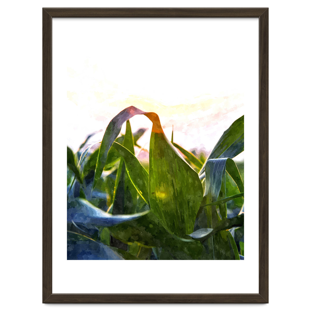 Hope With Abstraction