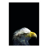 What It A Dream (Print Only) thumbnail